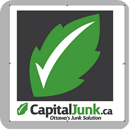 Capital Junk