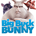 Big Buck Bunny Movie App