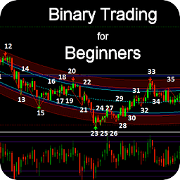 Binary Trading Beginners