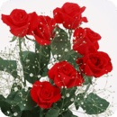 COOL 3D玫瑰壁纸