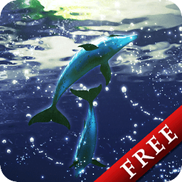 Dolphin Moonlight Trial