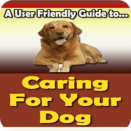 Caring For Your Dog