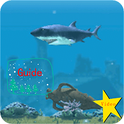 Hungry Gems Shark Hacks