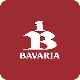 Bavaria Informe DS 2013