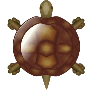 Turtle Compass