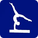 Gymnastics Guide
