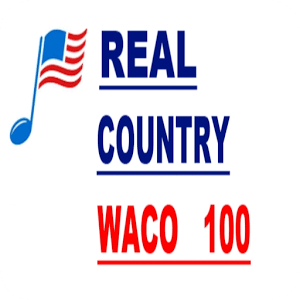 WACO 100