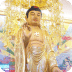 佛陀的格言Android APP電子書