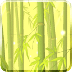 风摇竹林动态壁纸 Bamboo Forest Live Wallpaper
