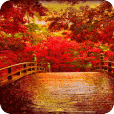 Bridge in Autumn Live Wallpaper