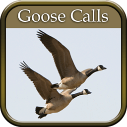 Goose Hunting Calls