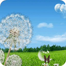 Galaxy S3/S4 Dandelion LWP HD