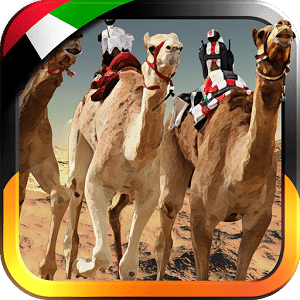 阿联酋赛骆驼