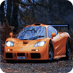 McLaren F1 LM Sounds