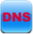 DNS Setting