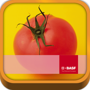 BASF México-Cultivo del Tomate