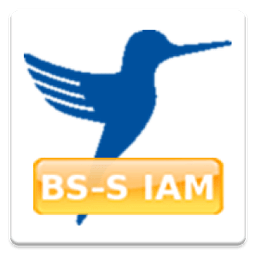 BS-S IAM for SAP