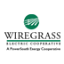 Wiregrass Electric