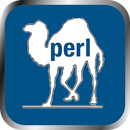 Perl function reference