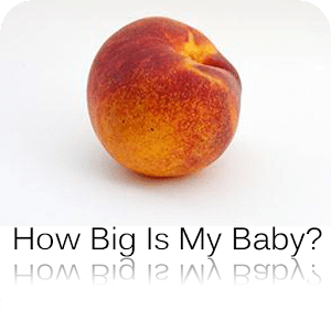 How Big Is My Baby? - Due Date
