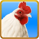 Chicken sounds and Ringtones