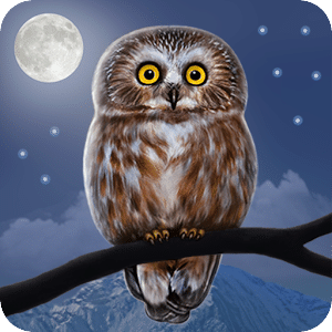 Owl Landscape