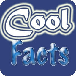 10,000+ Cool Facts