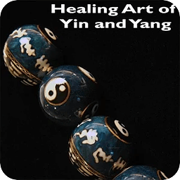 Healing Art of Yin and Y...
