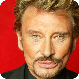 Fan de Johnny Hallyday