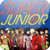 [SSKIN] Super Junior_Mr.Simple