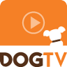 DOGTV Player
