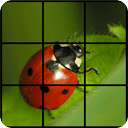 Slide Puzzle LadyBug