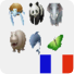 学习法语的动物发音