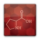 Amino Acid Quiz