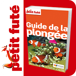 Guide de la Plong&eacute;e 2013...