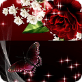 Red Rose Butterfly Live Wallpaper