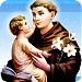 St_Antonys_Novena