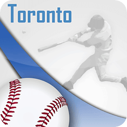 Toronto Baseball Fan