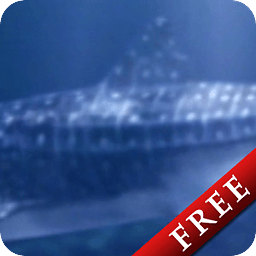 Whale Shark Free