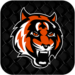 Tiger Muay Thai