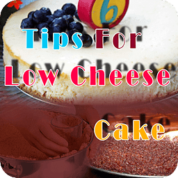 Tips For Low Cheese Cake