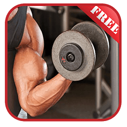 Arm Workout For Men &amp; Wo...
