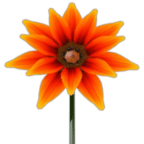 Pakistan flower 3D wallpaper