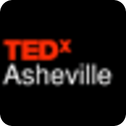 2010年TED x阿什维尔