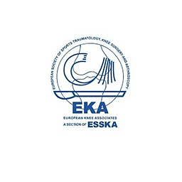 Eka2013