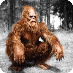 Bigfoot Sounds