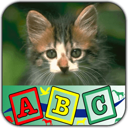 Kids Animal ABC Alphabet