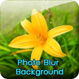 Photo Blur Background