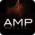 AMP 2013