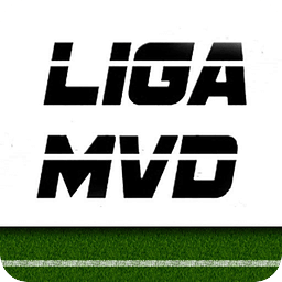 Liga MVD